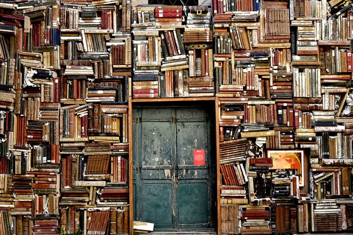 Wissen - Bücherregale
